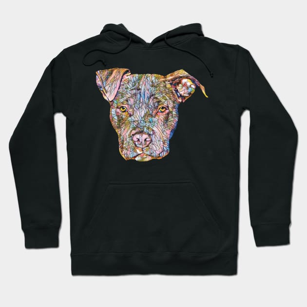 American Pit Bull Hoodie by DoggyStyles